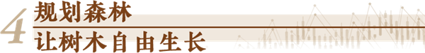 15.png