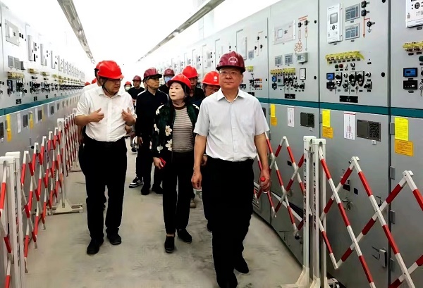 在“领题+破题+解题”中深入推进主题教育——市重大项目办围绕“加快推进110千伏输变电工程建设” 开展主题教育领题调研.jpg